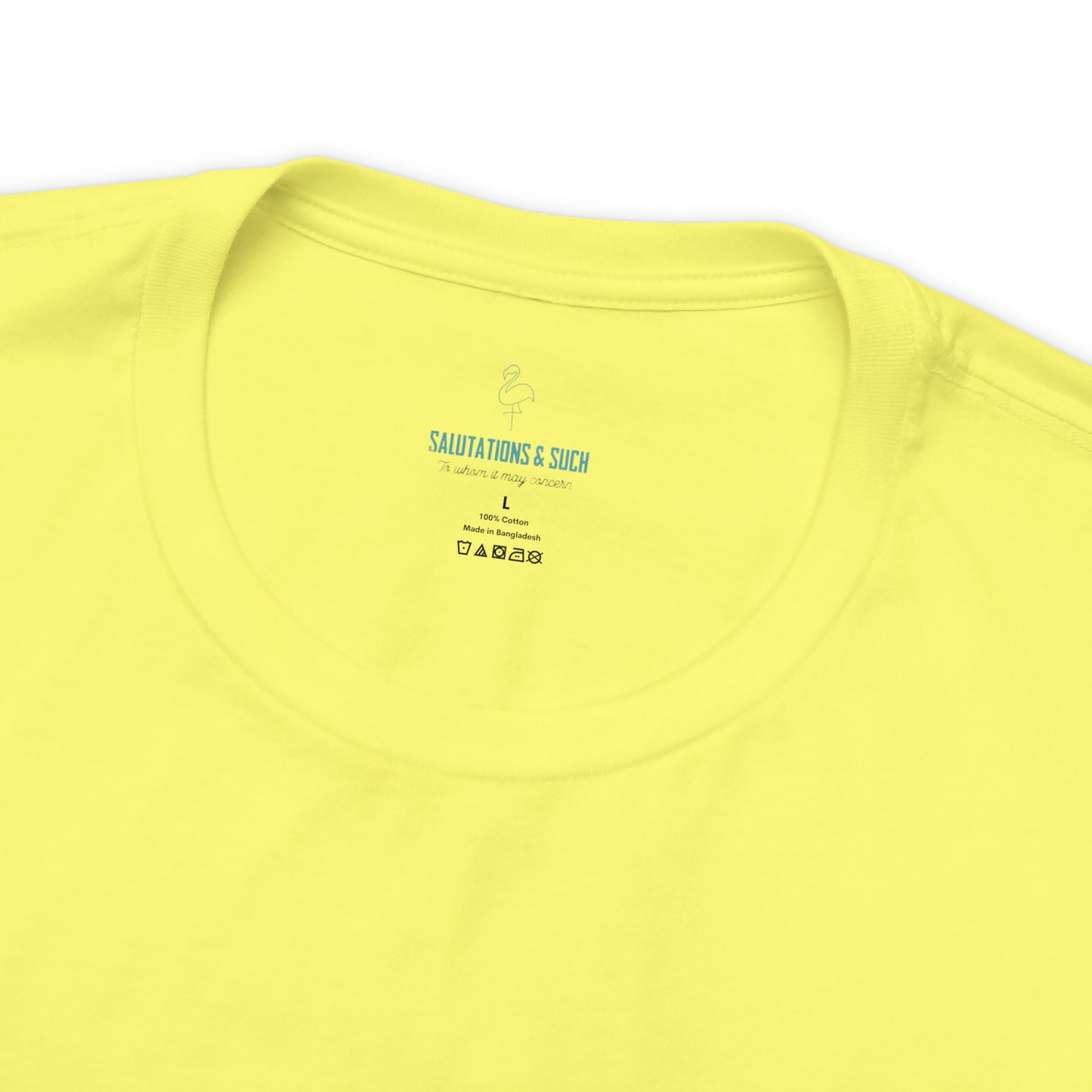 Salutations Flamingo Tee