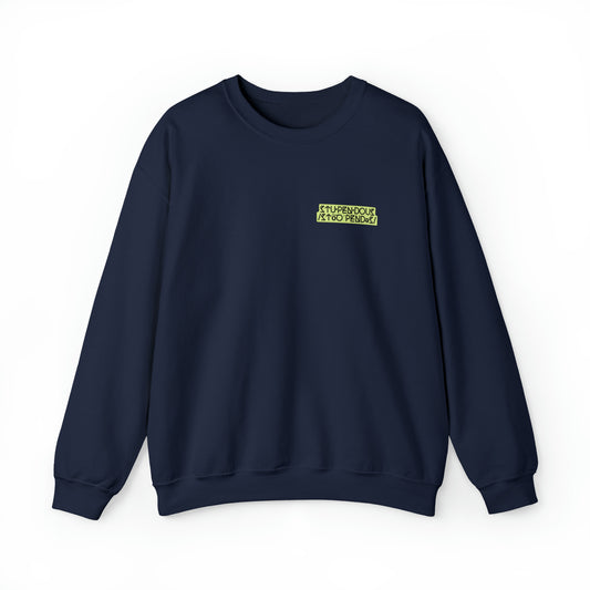 A STUPENDOUS Sweatshirt by Salutations & Such